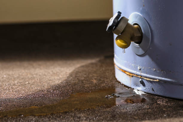 Best 24/7 water damage repair  in Forest Oaks, NC