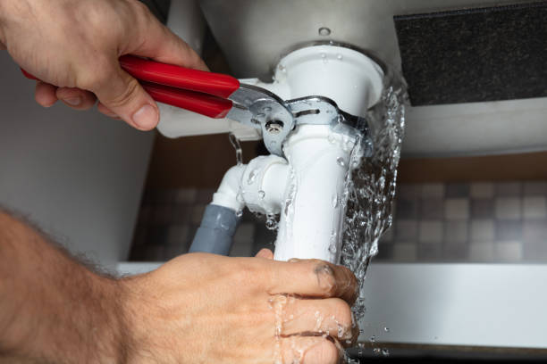 Best Professional water damage repair  in Forest Oaks, NC