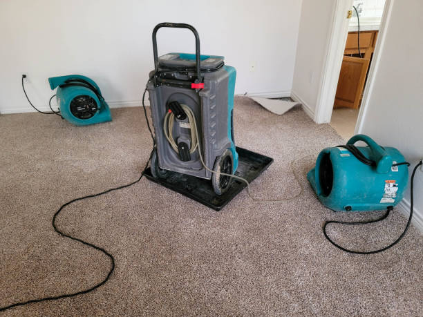 Best 24-hour water damage restoration  in Forest Oaks, NC