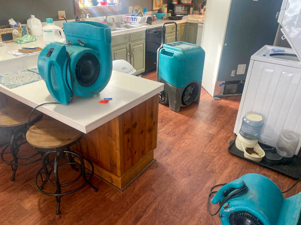Best Water damage restoration specialists  in Forest Oaks, NC