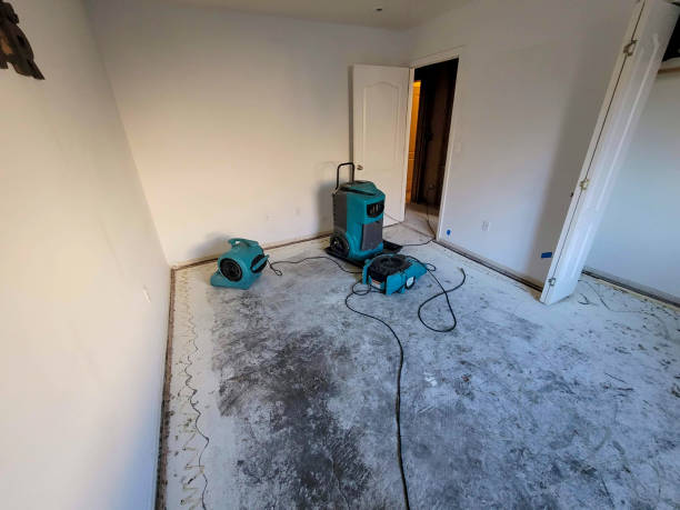 Best Water damage mitigation services  in Forest Oaks, NC