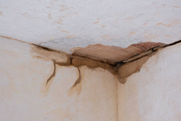 Trusted Forest Oaks, NC Water damage restoration Experts