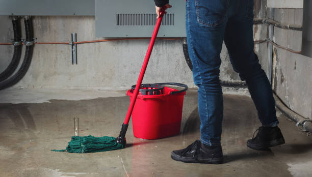 Best Water damage restoration near me  in Forest Oaks, NC
