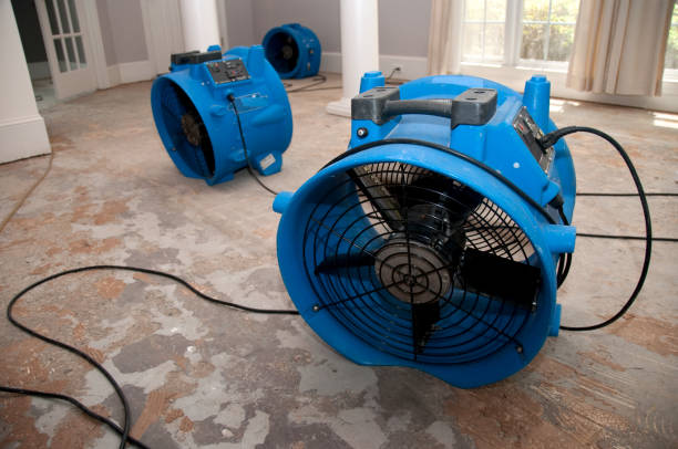 Best Professional water damage repair  in Forest Oaks, NC