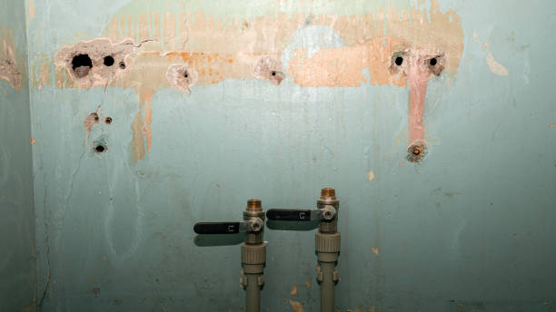 Best Flood damage cleanup  in Forest Oaks, NC