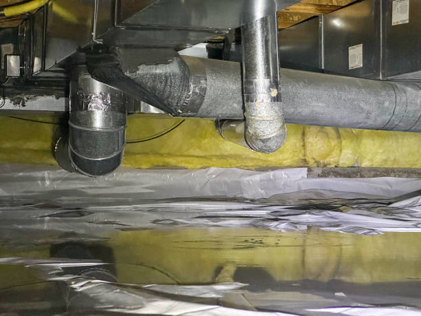 Best 24/7 water damage repair  in Forest Oaks, NC