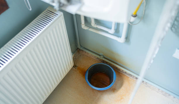 Best Water damage restoration process  in Forest Oaks, NC