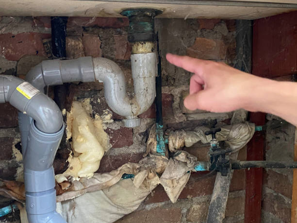 Best Residential water damage restoration  in Forest Oaks, NC