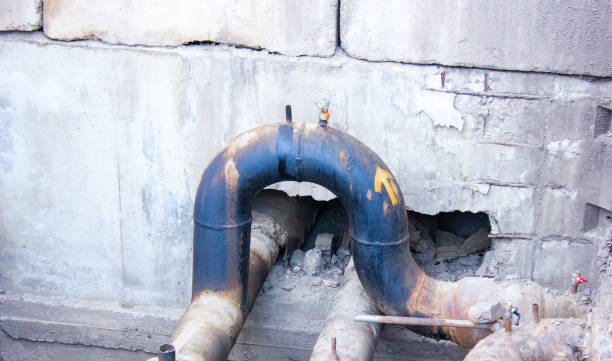 Best Water damage mitigation services  in Forest Oaks, NC