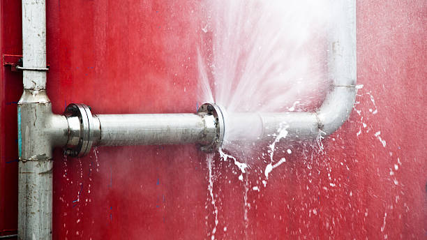 Best Water damage restoration near me  in Forest Oaks, NC
