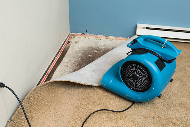 Best 24-hour water damage restoration  in Forest Oaks, NC